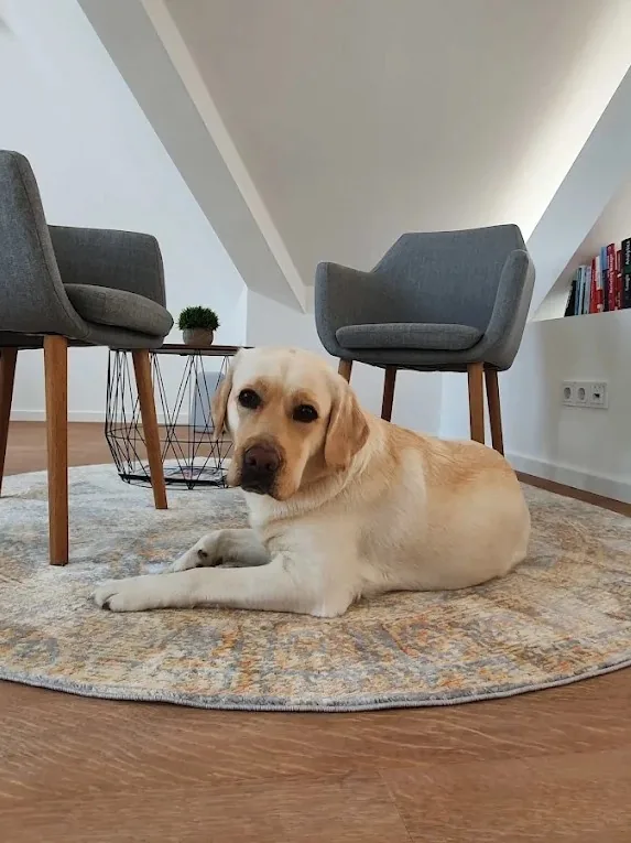 Peppa Bürohund